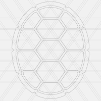 Tortoise shell against a grayish scale