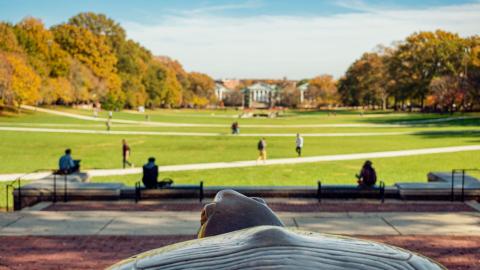 Header News Room - Mall campus view